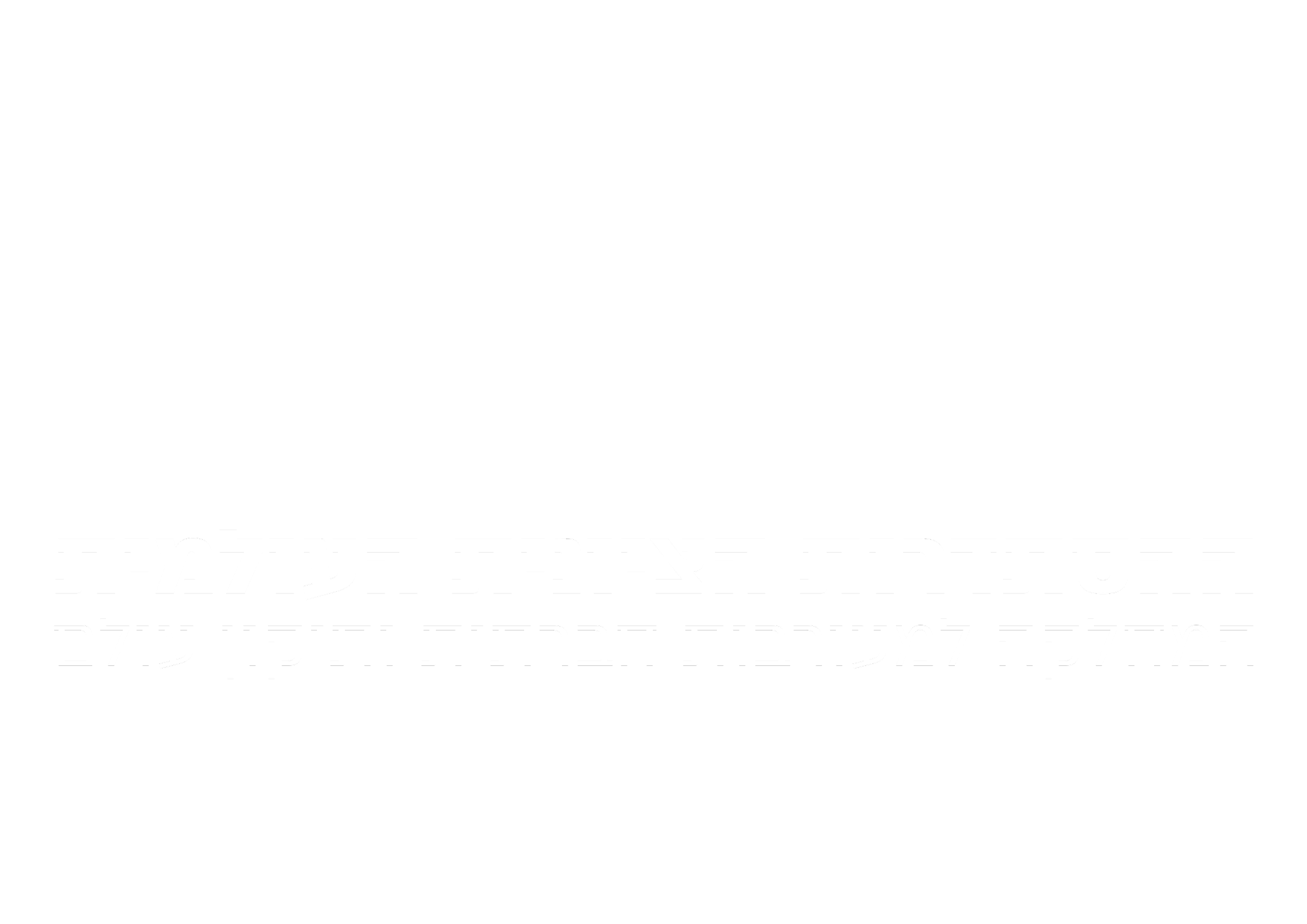 WZO Logo