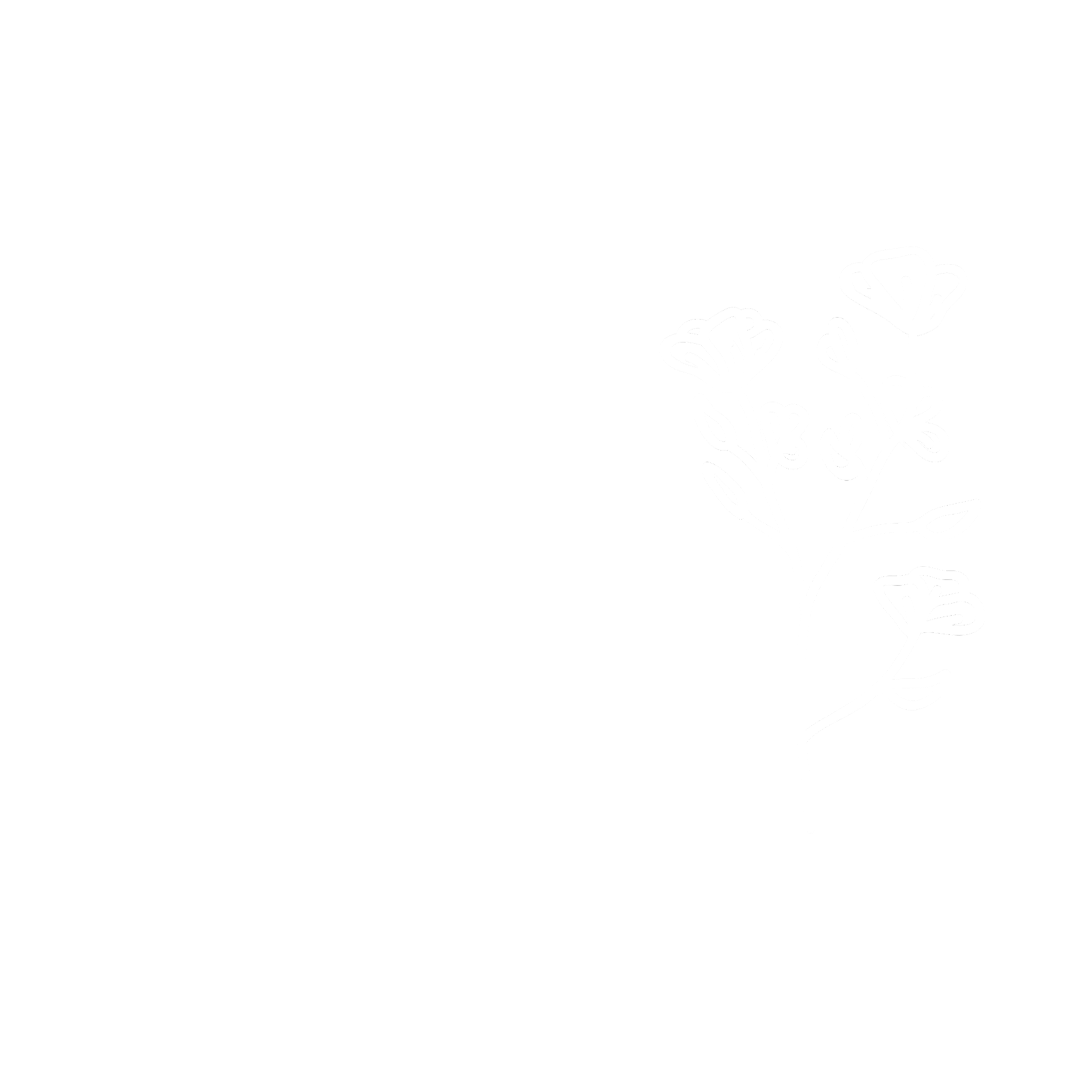 Nitzan Logo